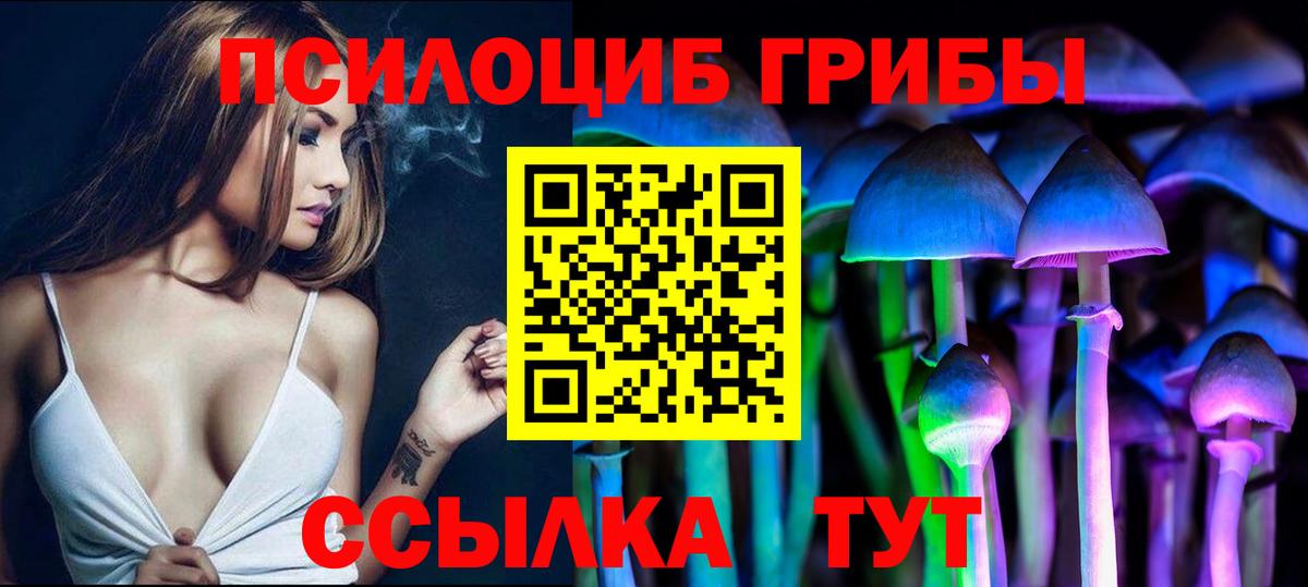 Россия  Галлюциногенные грибы мицелий  Галлюциногенные грибы Psilocybine cubensis  Вход с VPN 