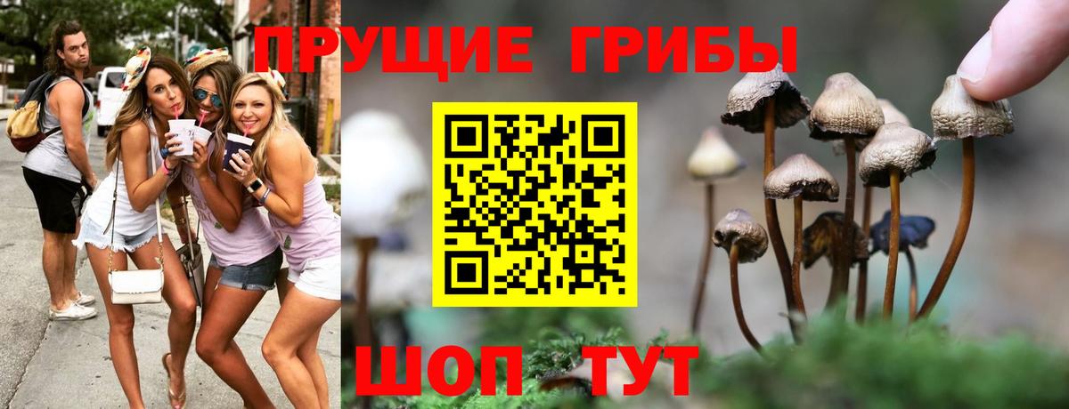 Псилоцибиновые грибы MAGIC MUSHROOMS Россия