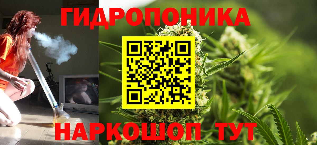 Шишки марихуана планчик Россия